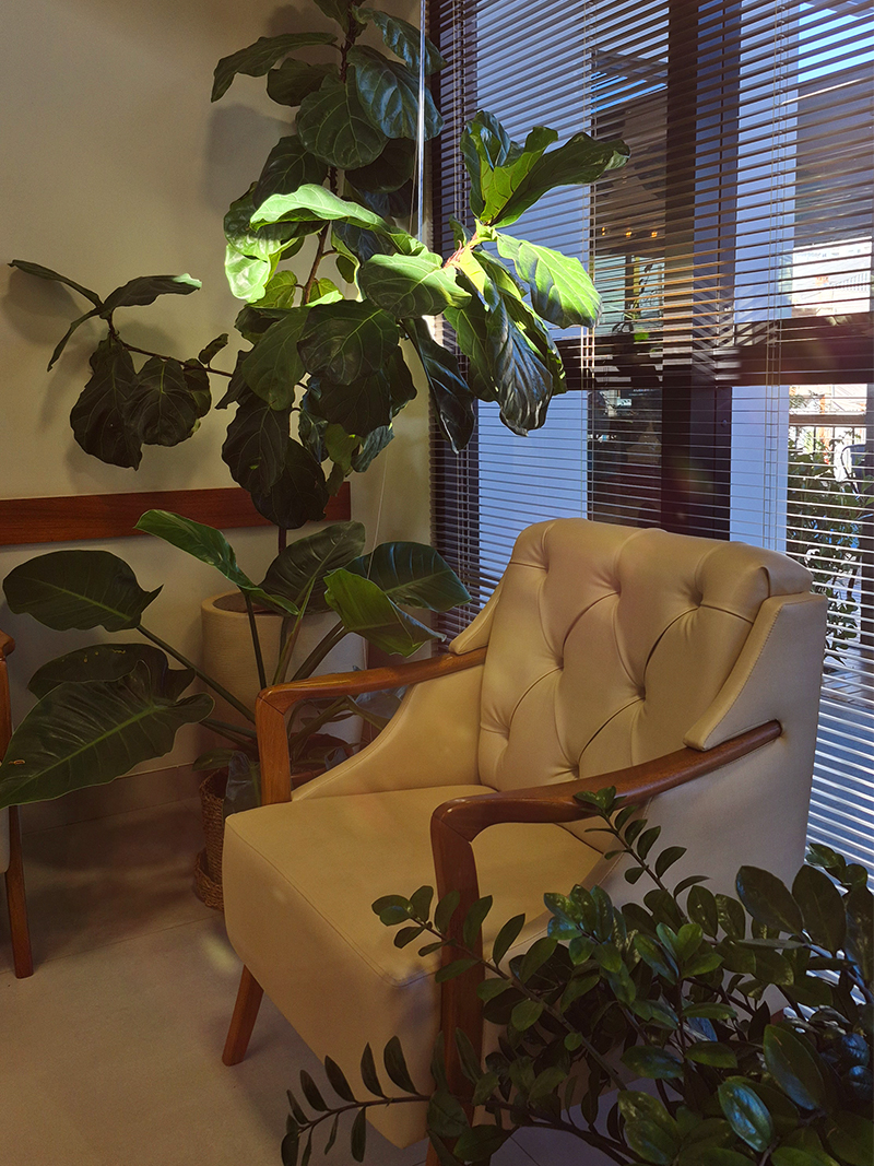 Amorasi Spa Chapecó Santa Catarina